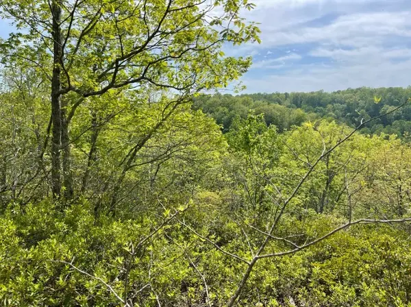 0 Hurricane Drive, Smithville, TN 37166
