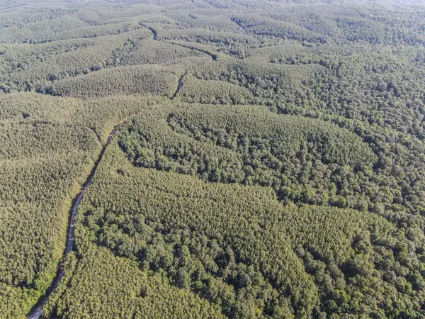 0 Brush Creek Rd, Hohenwald, TN 38462