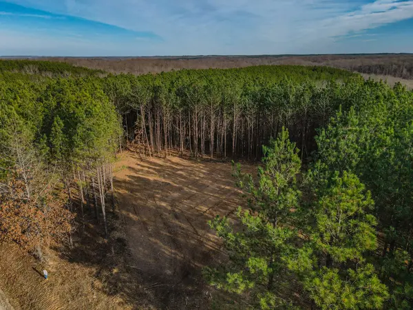 0 Brush Creek Rd, Hohenwald, TN 38462