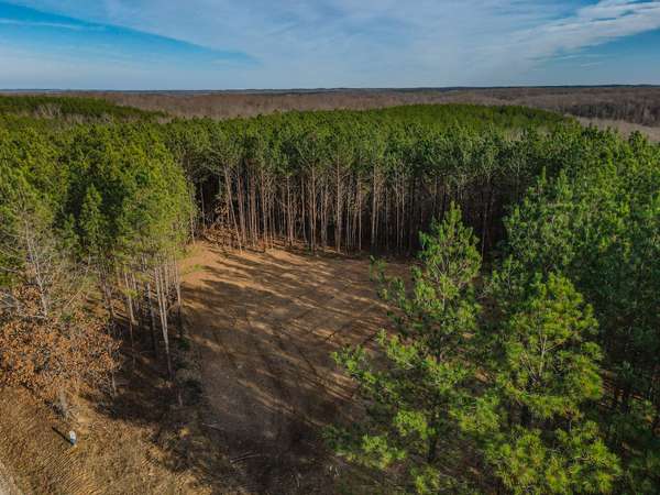 0 Brush Creek Rd, Hohenwald, TN 38462