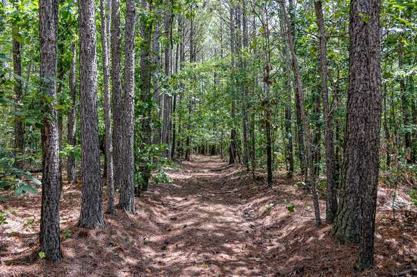 0 Brush Creek Rd, Hohenwald, TN 38462