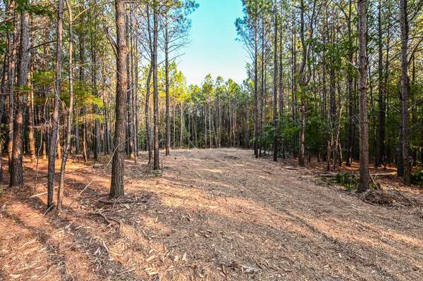 0 Brush Creek Rd, Hohenwald, TN 38462