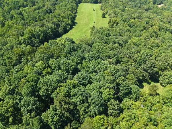 0 Batson Mill Road, Charlotte, TN 37036