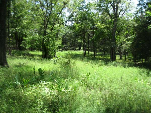 0 Quinter Rd., Altoona, KS 66710