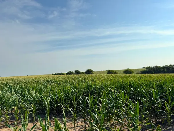 00000 Windmill Road, Ada, KS 67467