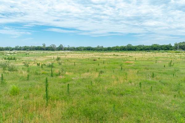 65.88 +/- Acres N 279th St W, Mount Hope, KS 67108