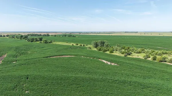 00000 Dove Road, Solomon, KS 67480