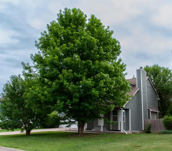 5515 E Pembrook, Wichita, KS 67220