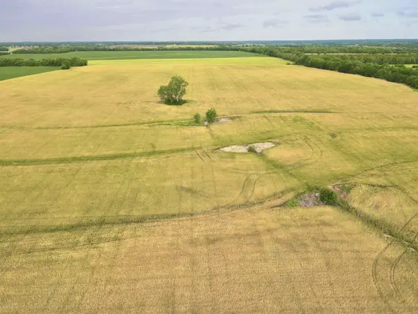 N & W of SW Butler Rd and SW 30th St, Benton, KS 67017