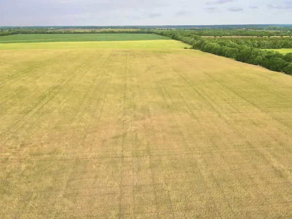 N & W of SW Butler Rd and SW 30th St, Benton, KS 67017