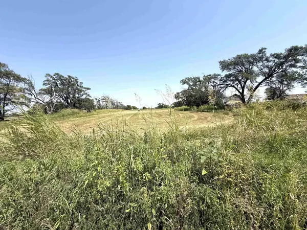1003 N Springfield Ave, Anthony, KS 67003
