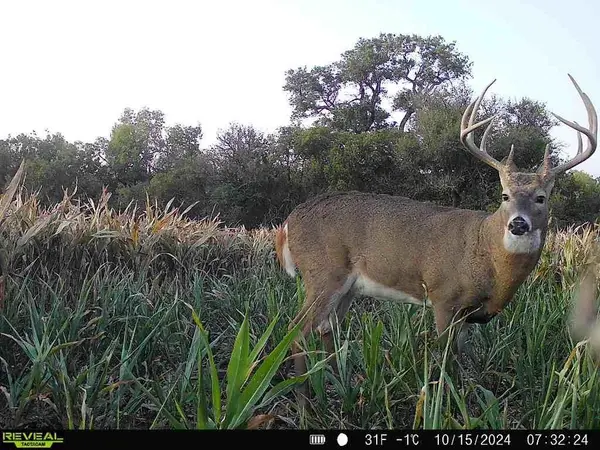0000 5th Road, Raymond, KS 67573
