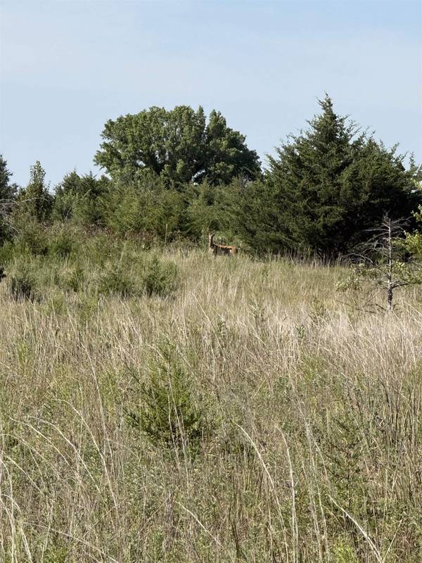 0 SW Purity Springs Rd., El Dorado, KS 67042