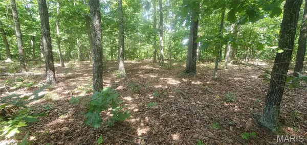 Address not disclosed, Elk Creek, MO 65464