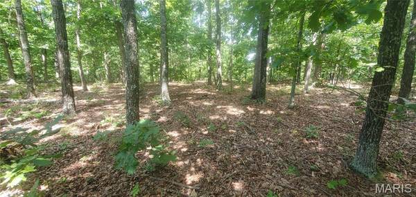 Address not disclosed, Elk Creek, MO 65464