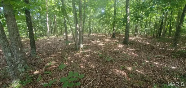 Elk Creek, MO 65464