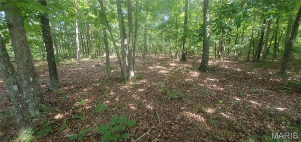 Elk Creek, MO 65464