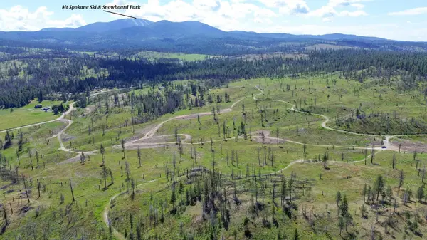357XX N Conklin Rd, Elk, WA 99009