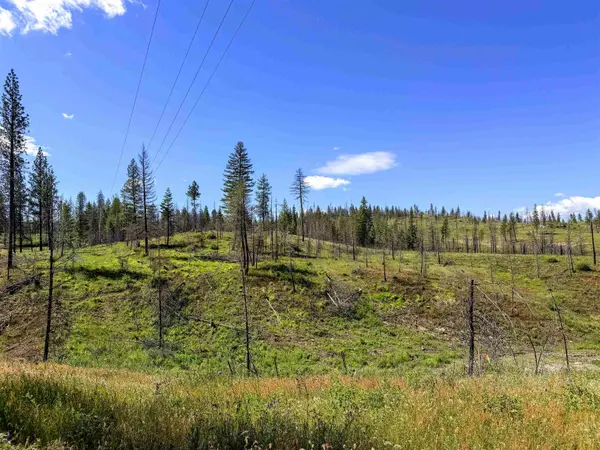 357XX N Conklin Rd, Elk, WA 99009