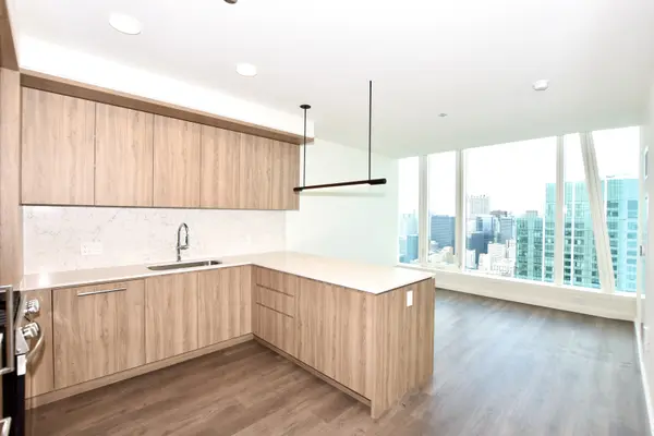 1000 S Michigan AVE #5402, Chicago, IL 60605