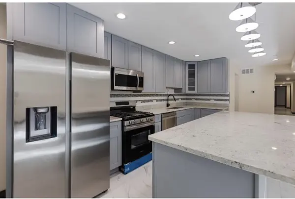 442 E 48th ST #3E, Chicago, IL 60615