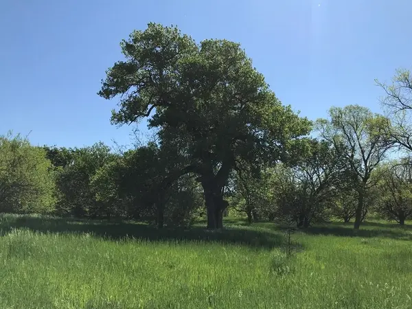 0000 County Rd 120th, Mankato, KS 66956