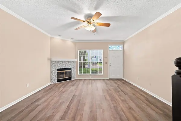 2725 PENZANCE ST, Palm Harbor, FL 34684