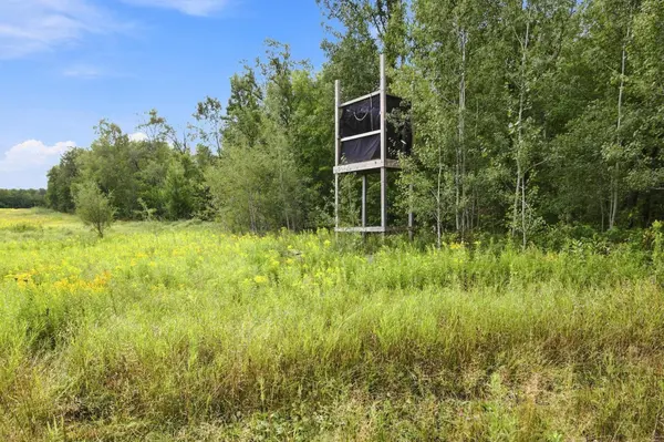 TBD Teds DR, Finlayson, MN 55735