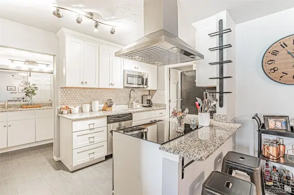 700 N Washington ST #207, Denver, CO 80203