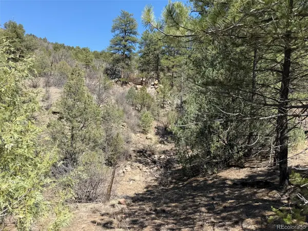 176 Arnold DR, Cotopaxi, CO 81223