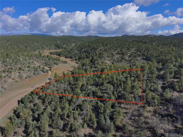 176 Arnold DR, Cotopaxi, CO 81223