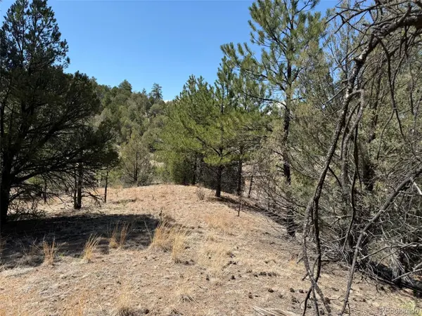 176 Arnold DR, Cotopaxi, CO 81223