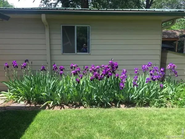 3400 Orchard DR, Laporte, CO 80535