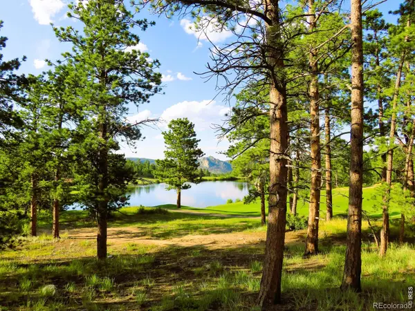 2 Fox Meadow LN, Red Feather Lakes, CO 80545