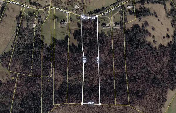 115 Agee Branch Ln, Hickman, TN 38567