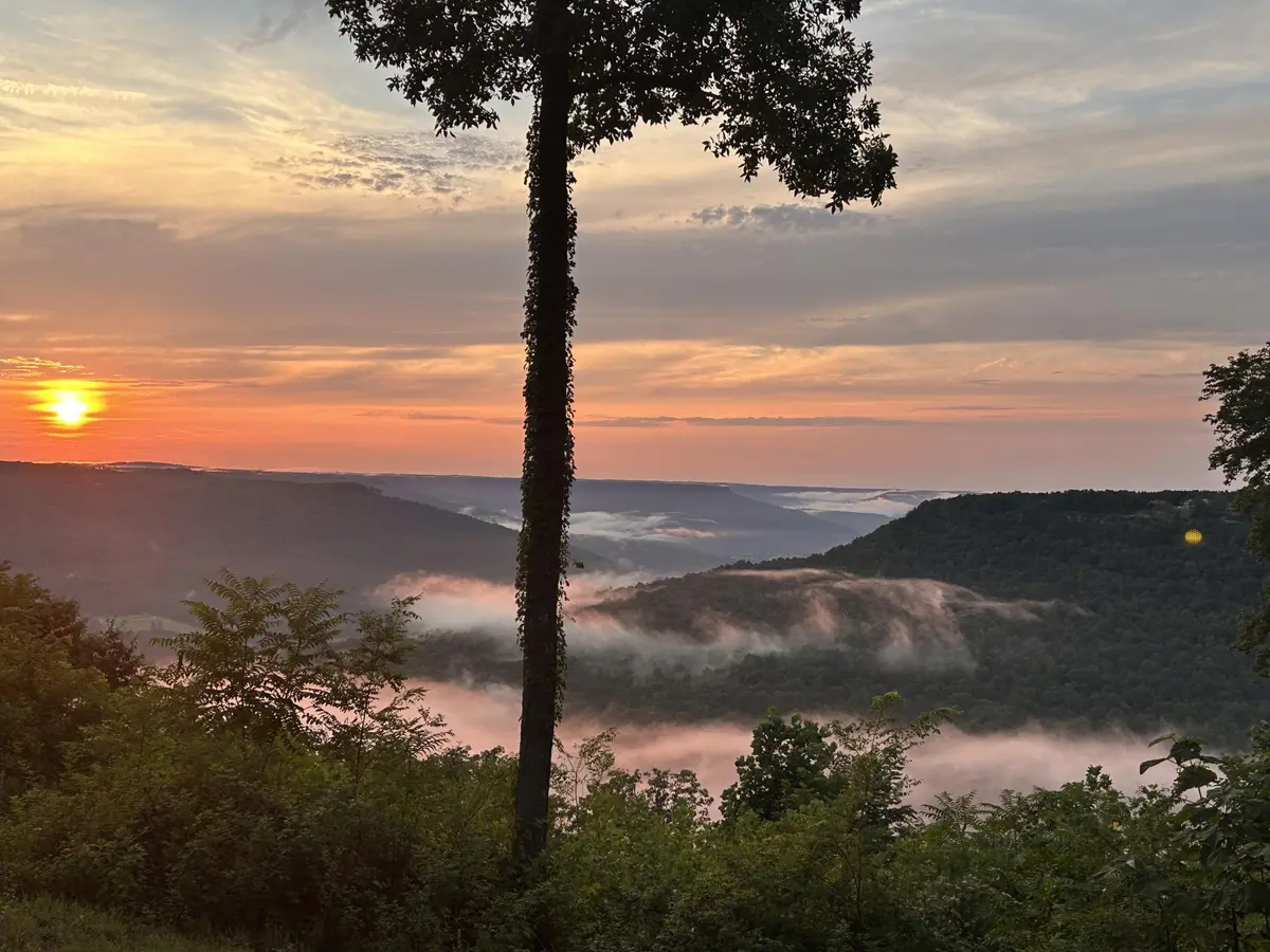 755 Sunset Circle, Jasper, TN 37347