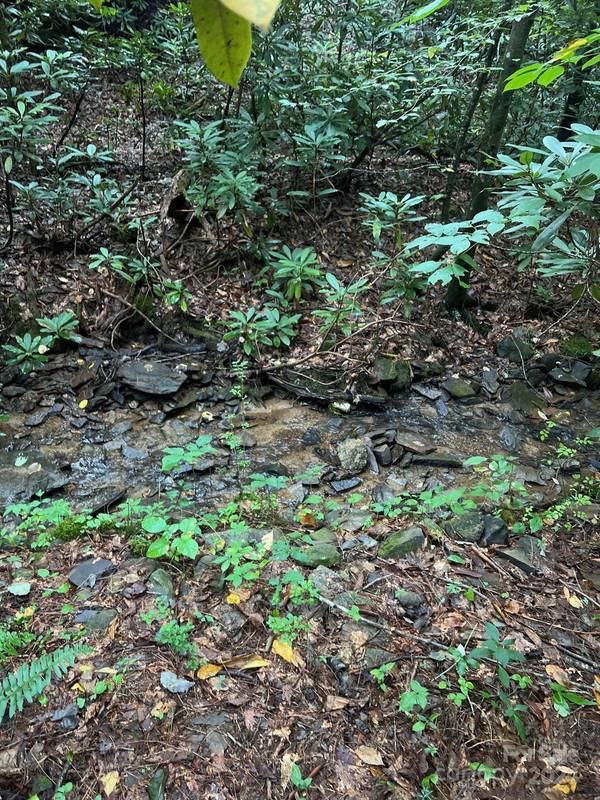 645 Tunnel RD #157 & 158, Marion, NC 28752