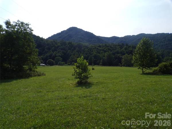 145 Kirks DR, Hot Springs, NC 28743