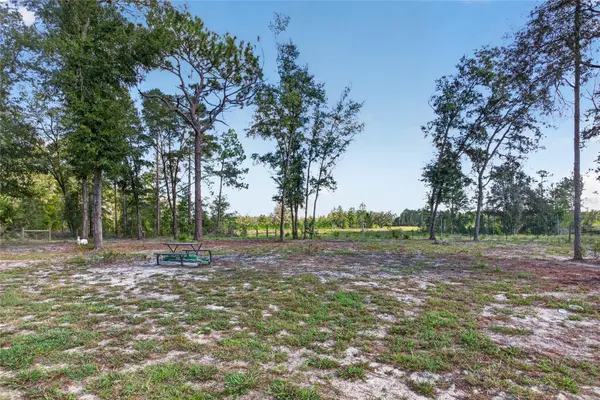 79 NE 91ST ST, Branford, FL 32008