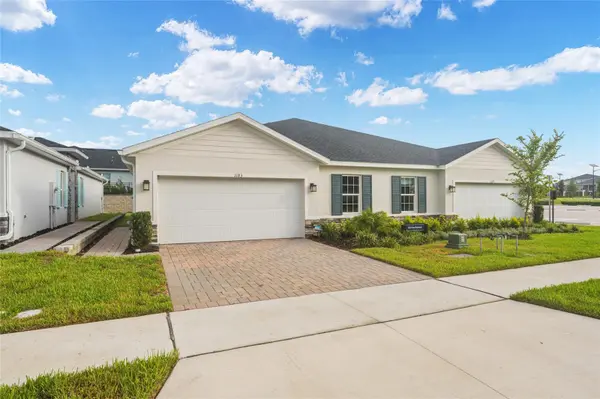 1183 TURTLE ISLAND RD, Lady Lake, FL 32159