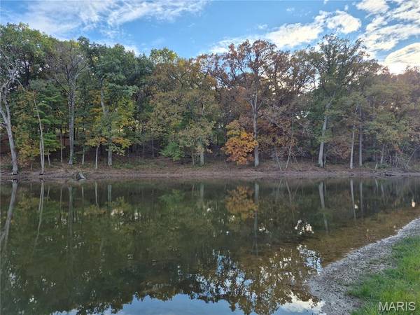 0 Highway D - Tract 10 (14.4+/- Acres), Eolia, MO 63344