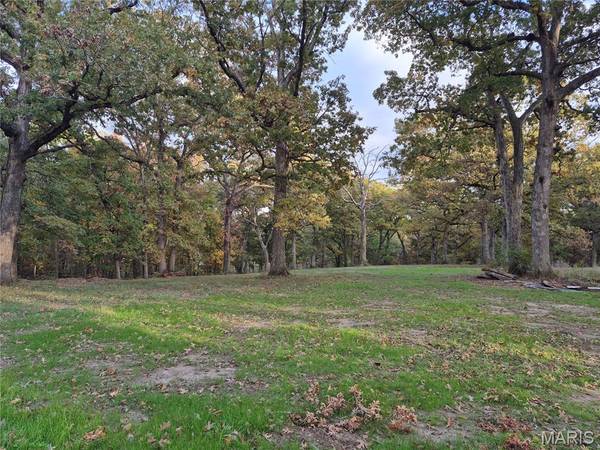 0 Highway D - Tract 10 (14.4+/- Acres), Eolia, MO 63344