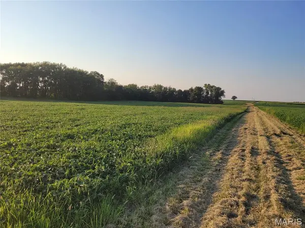 0 Hwy DD (46+/- Ac) Tract F, Bellflower, MO 63333