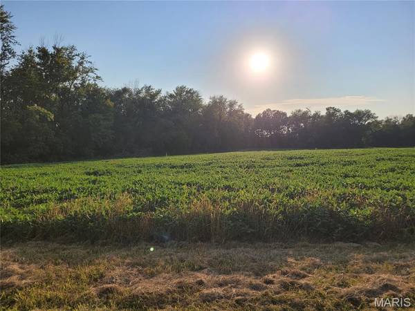 0 Hwy DD (46+/- Ac) Tract F, Bellflower, MO 63333