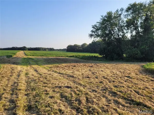 0 Hwy DD (46+/- Ac) Tract F, Bellflower, MO 63333