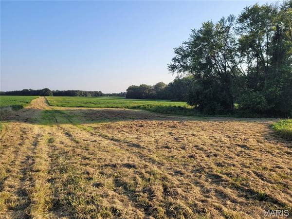 0 Hwy DD (46+/- Ac) Tract F, Bellflower, MO 63333