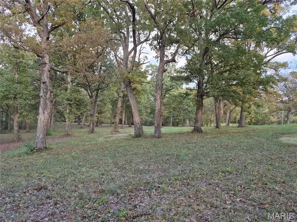 0 Highway D - Tract 5a (14+/- Acres), Eolia, MO 63344