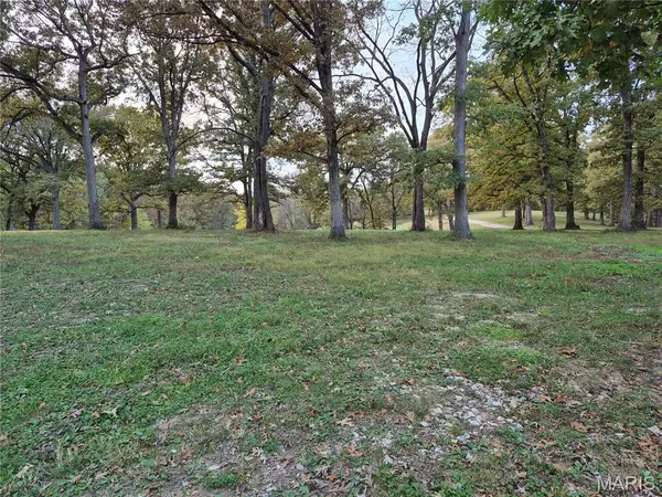 0 Highway D - Tract 5a (14+/- Acres), Eolia, MO 63344