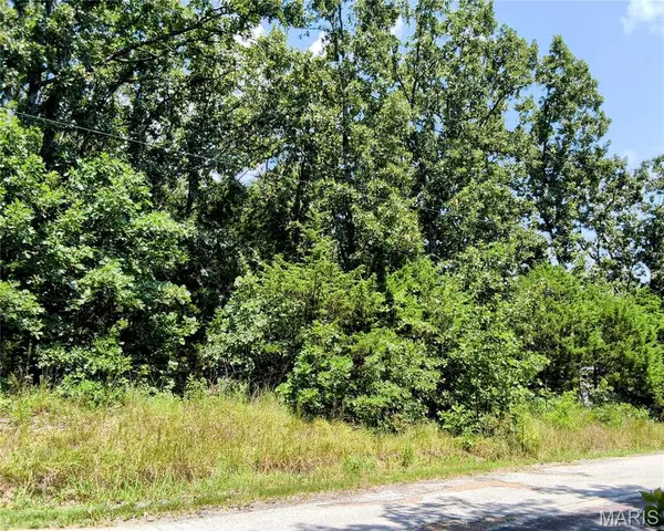 601 Briarwood DR, St Clair, MO 63077