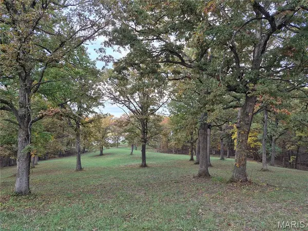 0 Highway D - Tract 6 (23.6+/- Acres), Eolia, MO 63344